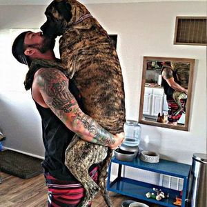 Meet your Posher, Kris